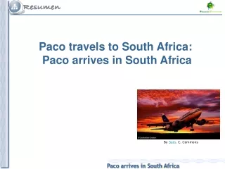 Paco travels to South Africa: Paco arrives in South Africa