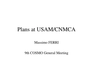 Plans at USAM/CNMCA