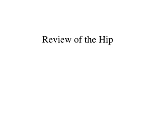 Review of the Hip