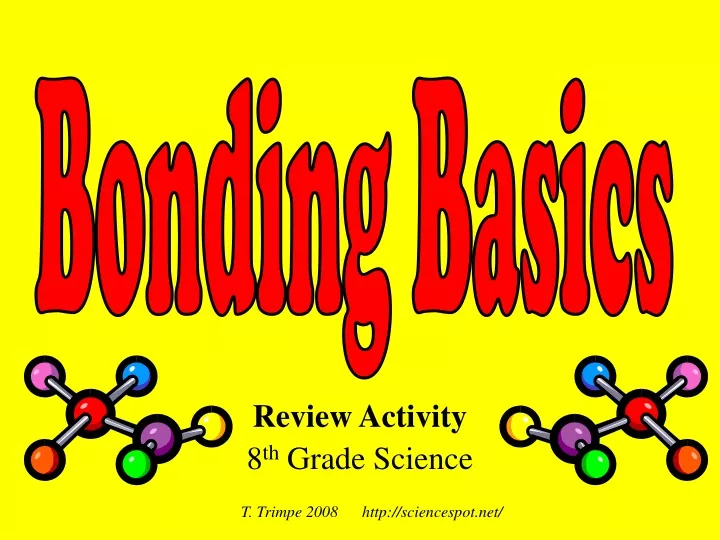 review activity 8 th grade science