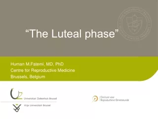 “The Luteal phase”