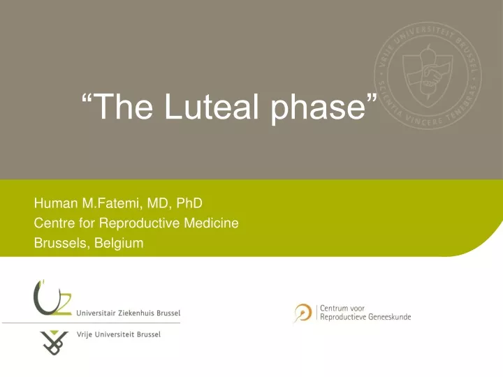 the luteal phase