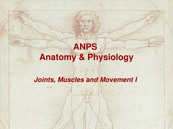 anps anatomy physiology