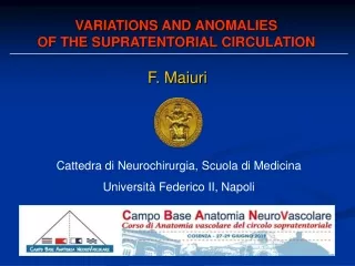 VARIATIONS  AND  ANOMALIES OF THE  SUPRATENTORIAL CIRCULATION