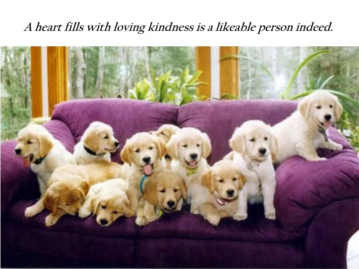 a heart fills with loving kindness is a likeable