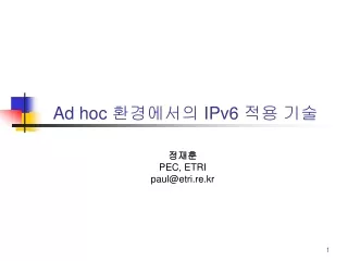 Ad hoc  환경에서의  IPv6  적용 기술