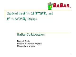 BaBar Collaboration Randall Sobie Institute for Particle Physics University of Victoria