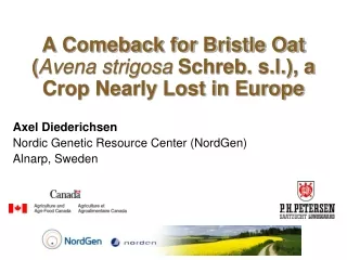 A Comeback for Bristle Oat ( Avena strigosa  Schreb. s.l.), a Crop Nearly Lost in Europe
