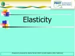 Price Elasticity in Economics - slide 1
