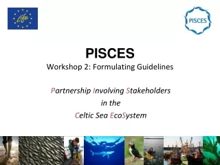 PISCES Workshop 2: Formulating Guidelines