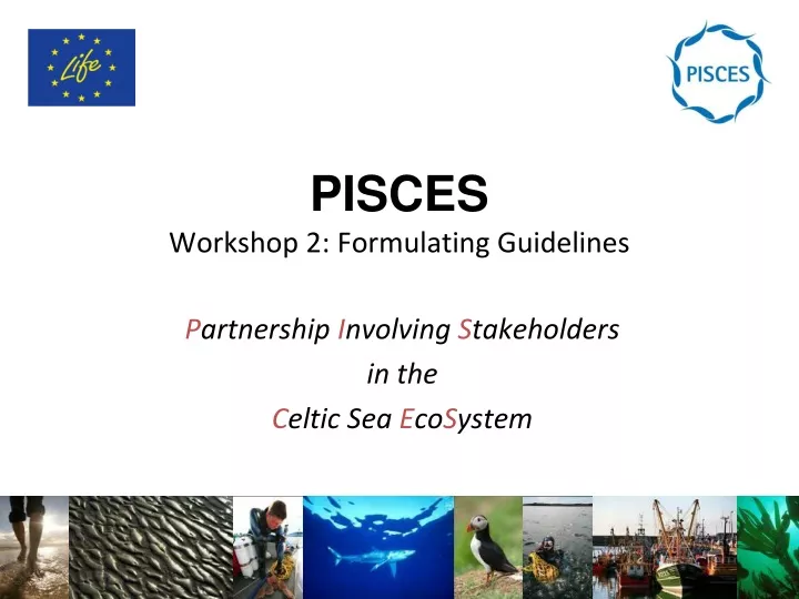 pisces workshop 2 formulating guidelines