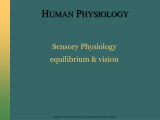 Sensory Physiology equilibrium &amp; vision