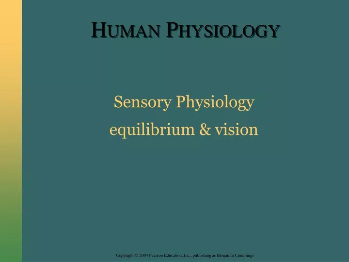 sensory physiology equilibrium vision