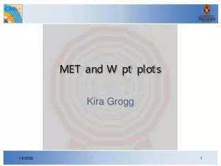 MET and W pt plots