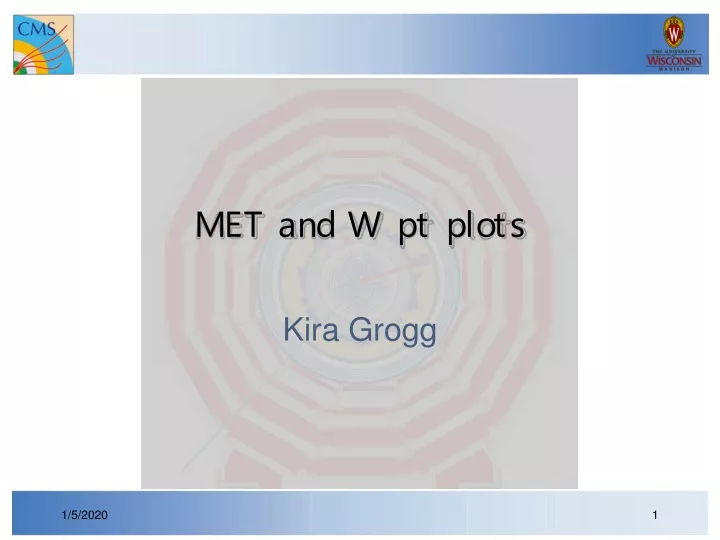 met and w pt plots