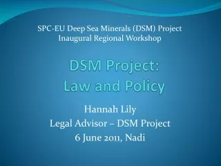 DSM Project: Law and Policy