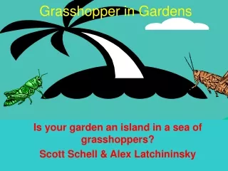 Grasshopper in Gardens