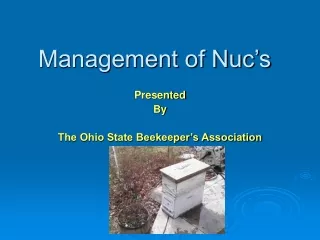 Management of Nuc’s