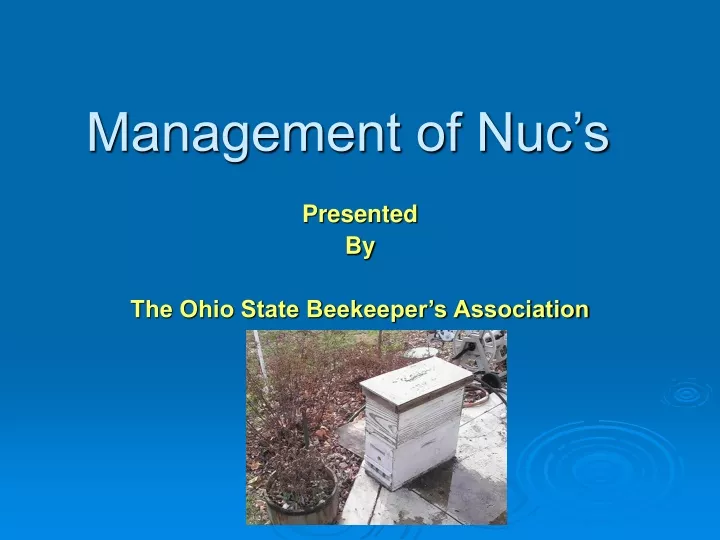 management of nuc s