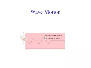 Wave Motion