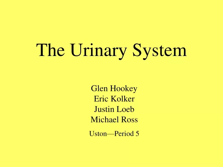 PPT - The Urinary System PowerPoint Presentation, Free Download - ID ...