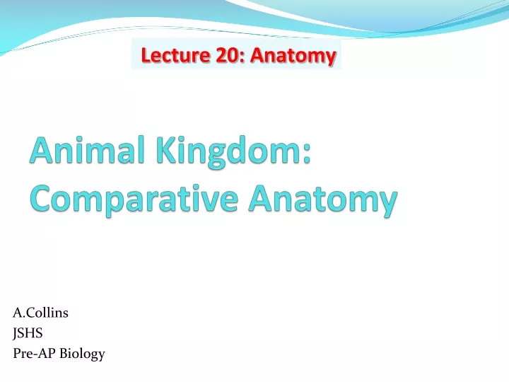 animal kingdom comparative anatomy