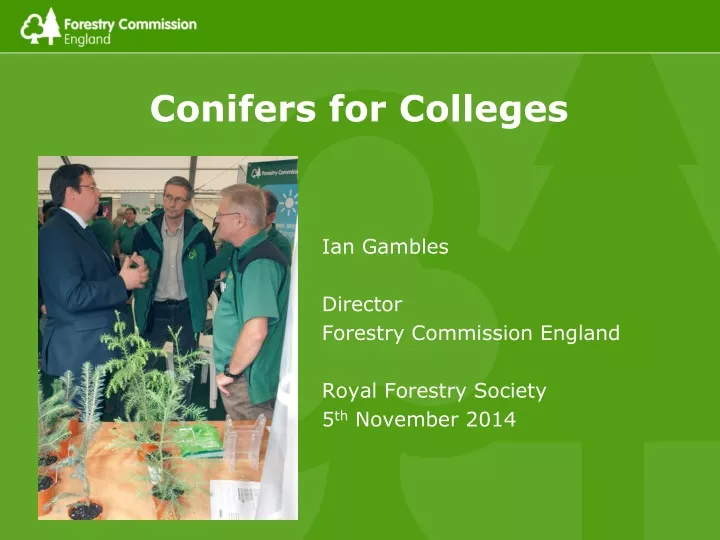 conifers for colleges