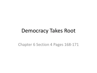 Democracy Takes Root