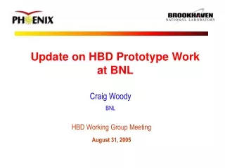 Update on HBD Prototype Work  at BNL