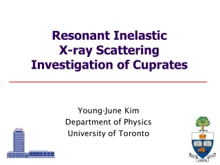 Resonant Inelastic  X-ray Scattering  Investigation of Cuprates