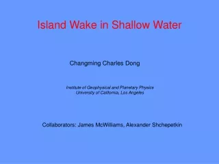 Island Wake in Shallow Water