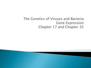 The Genetics of Viruses and Bacteria Gene Expression Chapter 17 and Chapter 35