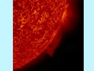 IN WHAT WAY DOES THE SUN SUPPORT ALL LIFE ON EARTH?