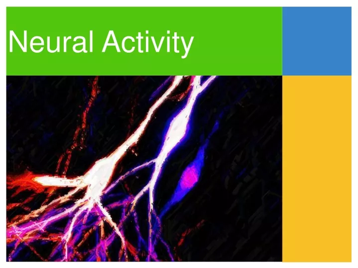 neural activity