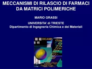 MECCANISMI DI RILASCIO DI FARMACI DA MATRICI POLIMERICHE MARIO GRASSI UNIVERSITA’ di TRIESTE