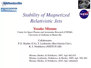 Stability of Magnetized Relativistic Jets