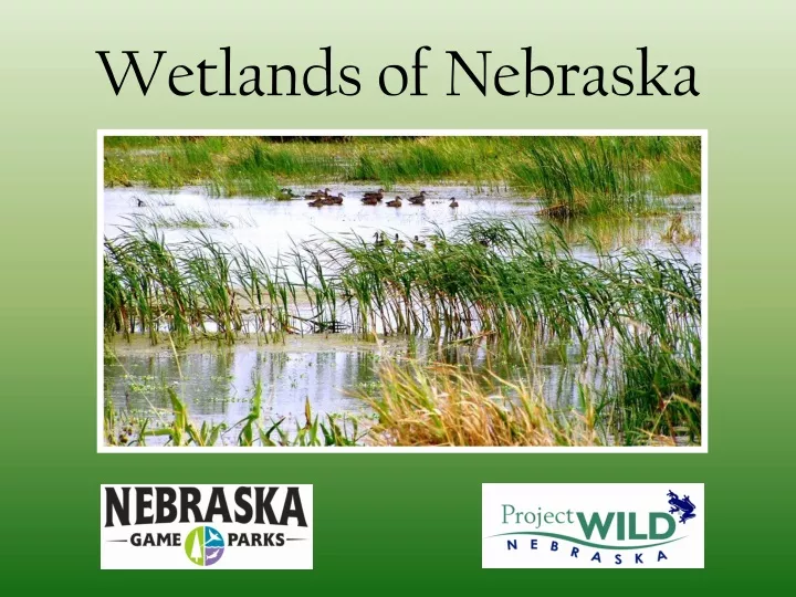 wetlands of nebraska