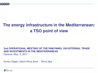 The energy infrastructure in the Mediterranean:  a TSO point of view