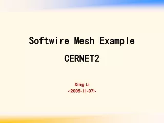 Softwire Mesh Example CERNET2