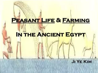 Peasant Life  &amp;  Farming  In the Ancient Egypt