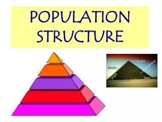 POPULATION STRUCTURE