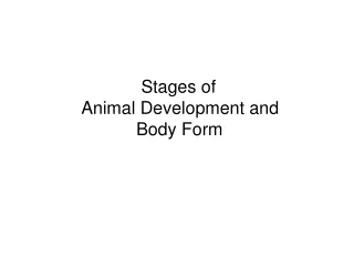 Stages of       Animal Development and                 Body Form