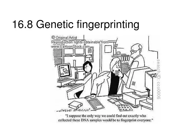 16 8 genetic fingerprinting