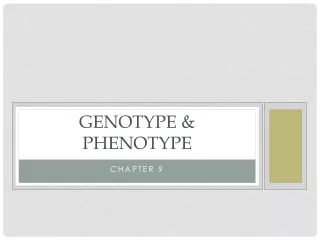 Genotype &amp; Phenotype
