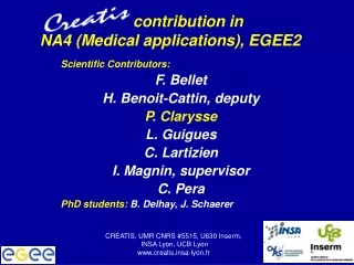 contribution in  NA4 (Medical applications), EGEE2