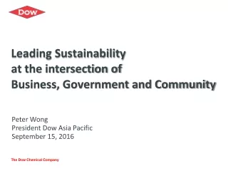 Leading Sustainability at the intersection of Business, Government and Community