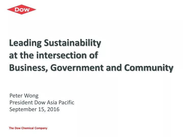 leading sustainability at the intersection of business government and community