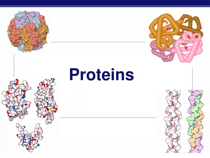 proteins