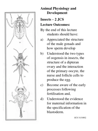 Animal Physiology and Development Insects – 2 JCS Lecture Outcomes: