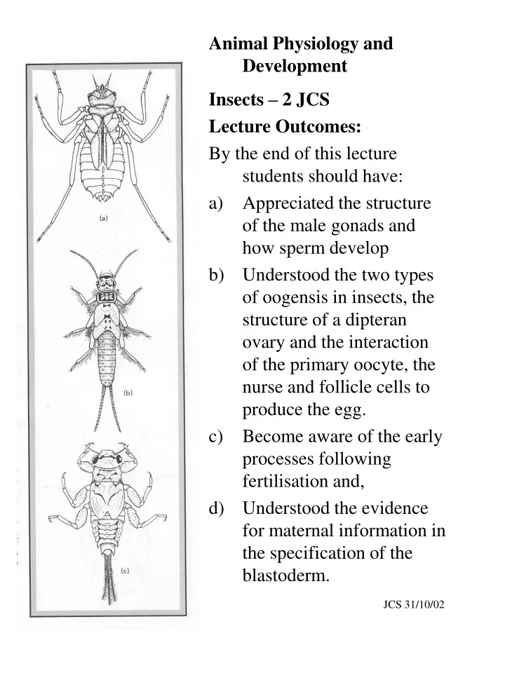 animal physiology and development insects